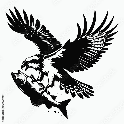 vector silhouette of an osprey with outstretched wings clutching a fish, dynamic form, white background 