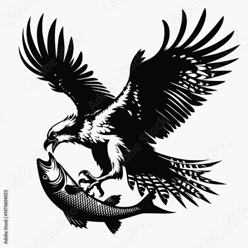 vector silhouette of an osprey with outstretched wings clutching a fish, dynamic form, white background 