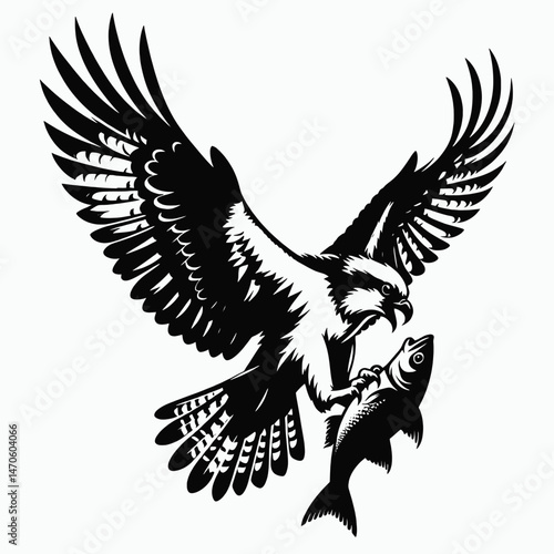 vector silhouette of an osprey with outstretched wings clutching a fish, dynamic form, white background 