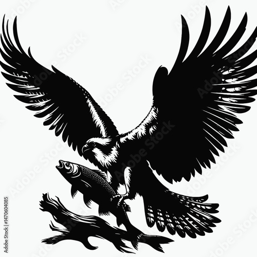vector silhouette of an osprey with outstretched wings clutching a fish, dynamic form, white background 