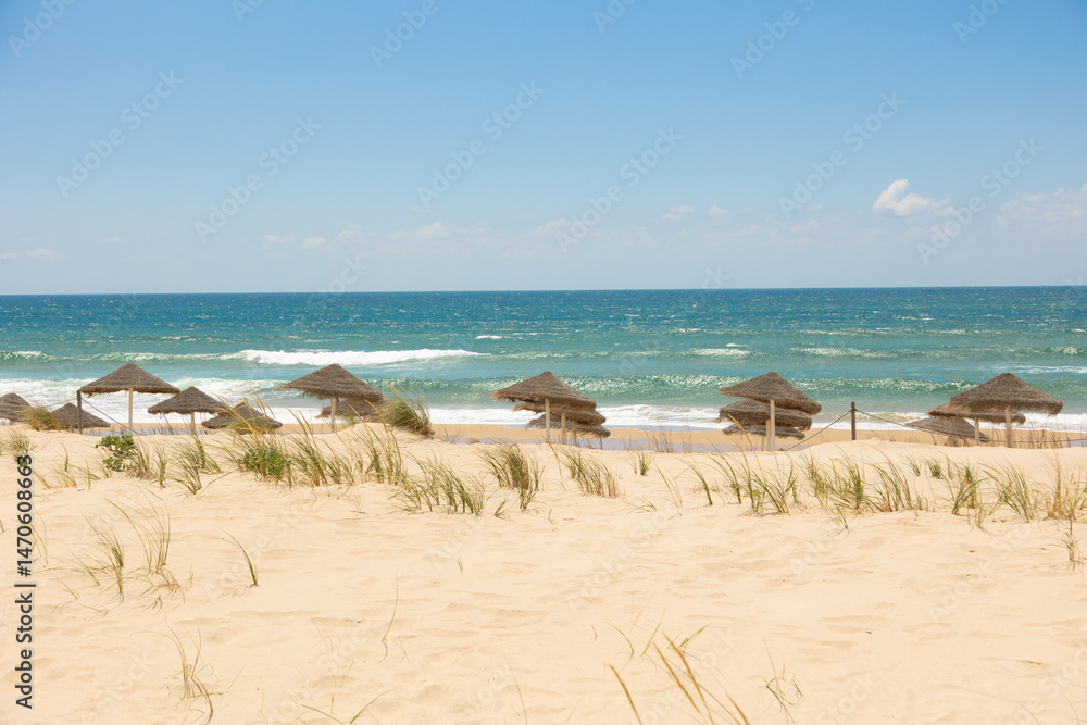 Straw beach umbrellas casting shadows on the golden sand of Costa da Caparica, Portugal. A tranquil seaside scene under a bright sky, perfect for relaxation and summer holiday imagery. Straw beach umbrellas casting shadows on the golden sand of Costa da Caparica, Portugal. A tranquil seaside scene under a bright sky, perfect for relaxation and summer holiday imagery.