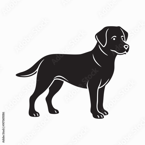 labrador retriever dog Vector Art illustration