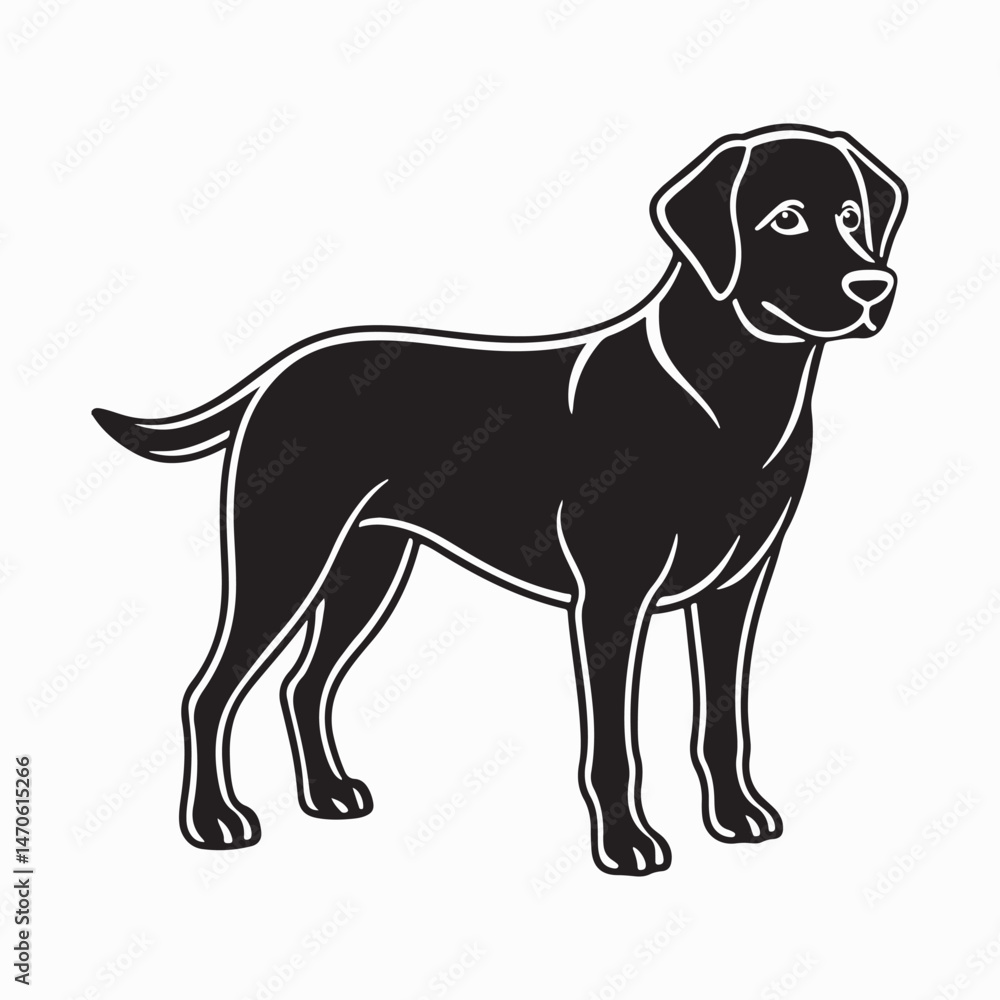 Fototapeta premium labrador retriever dog Vector Art illustration