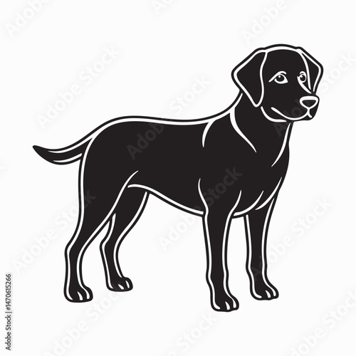 labrador retriever dog Vector Art illustration