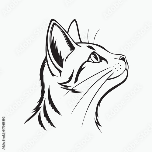 domestic shorthair cat Vector Art illustration