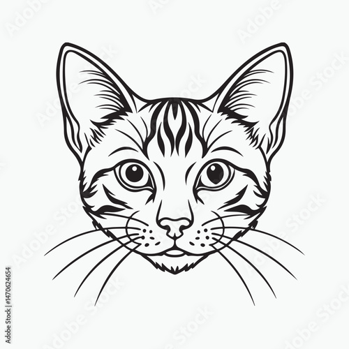 domestic shorthair cat Vector Art illustration
