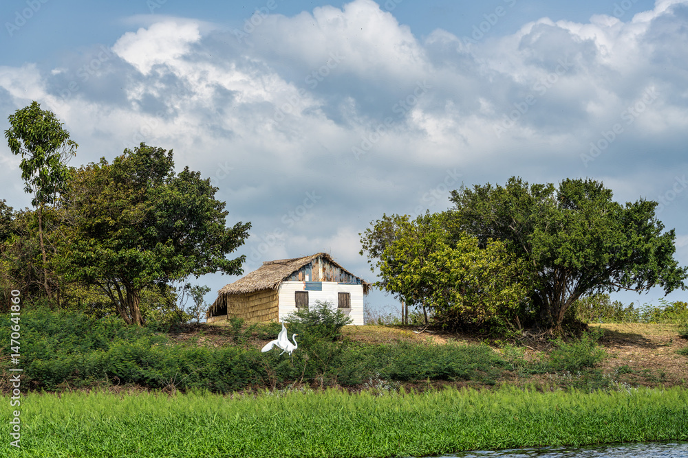 Obraz premium Boot trip on the Jari Canal at Alter do Chao, Santarem District, Para State, Brazil. Natural landscape of flooded areas