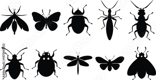 Set of insect silhouettes including beetles, flies, dragonfly, and butterflies – black vector icons