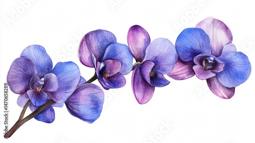 Exquisite Orchid Purple Flower Watercolor Illustration for Design Projects