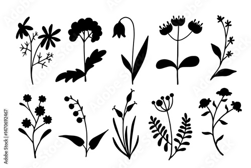 Set of silhouettes, stamps of wild meadow grasses, wildflowers. Vector graphics.