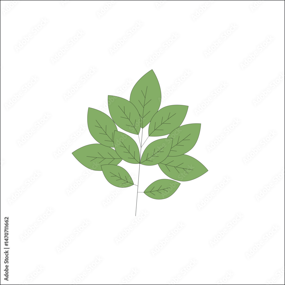 Soft Green Leaf Cluster with Light Texture – Clean Botanical Vector for Gardening Projects, Eco Product Branding, Nature Posters, and Flat Minimal Leaf Illustrations Soft Green Leaf Cluster with Light Texture – Clean Botanical Vector for Gardening Projects, Eco Product Branding, Nature Posters, and Flat Minimal Leaf Illustrations