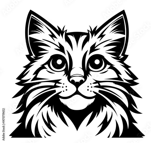 A black and white cat with a very long fur. The cat has a very cute and adorable face