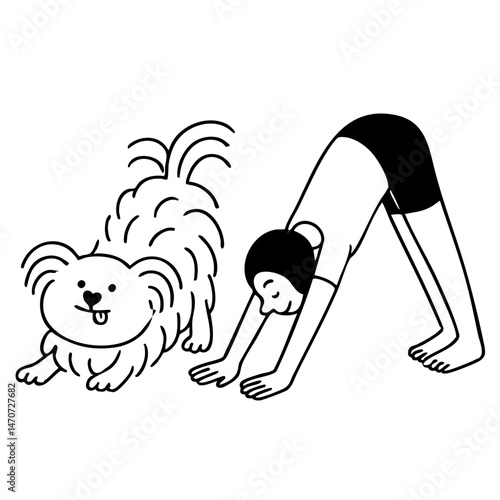 a cute hairy dog do yoga with girl