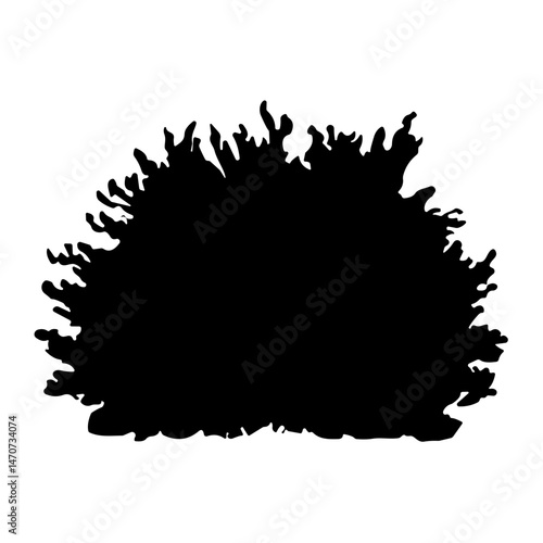 bush bare bush silhouette