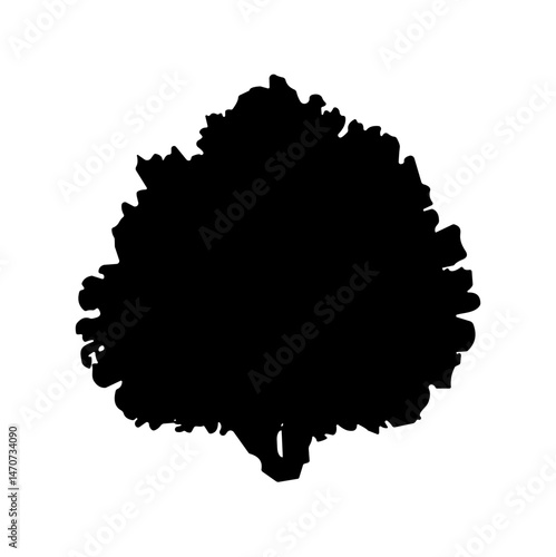 bush bare bush silhouette