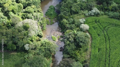 waterfall in the forest