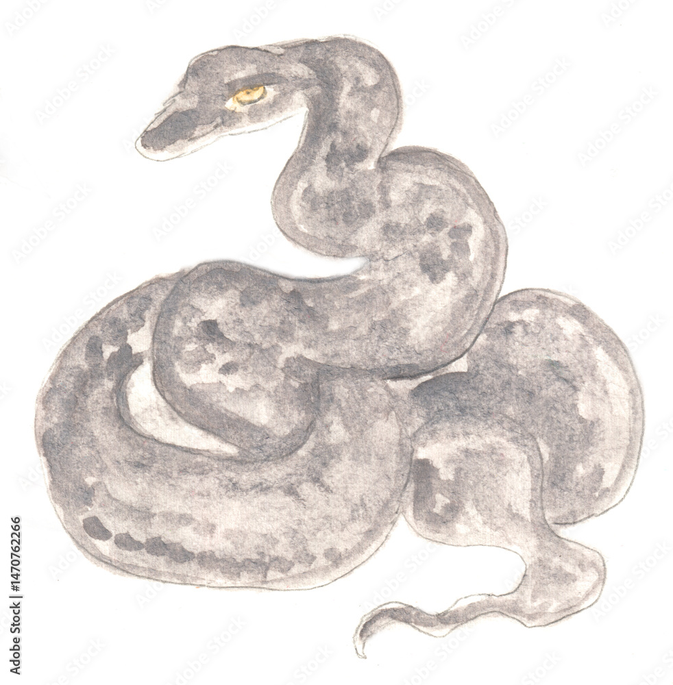 Naklejka premium Snake, viper, reptile. Watercolor illustration, hand drawn modern freehand new