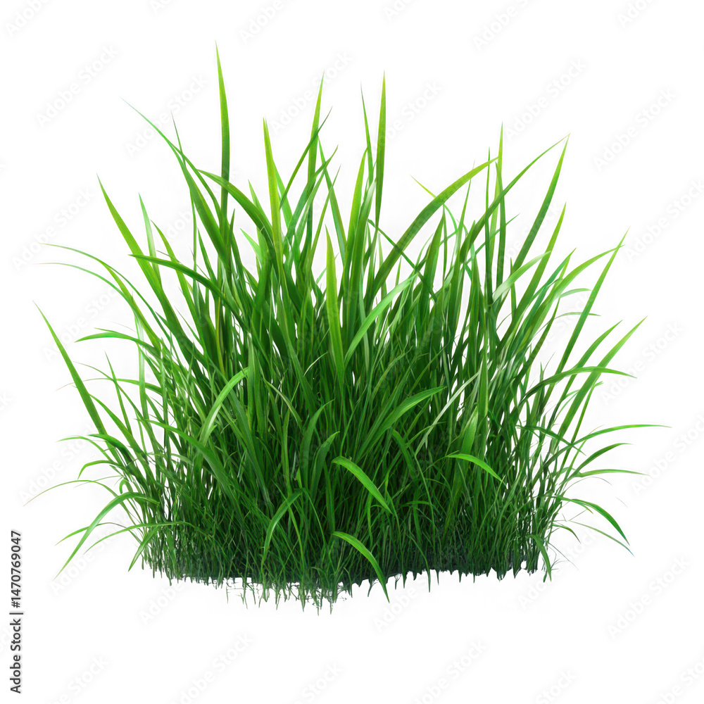 Obraz premium Lush green grass blades isolated on transparent background