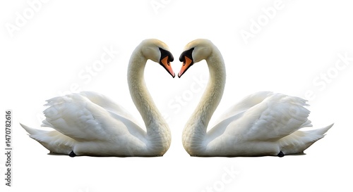 Fototapeta Naklejka Na Ścianę i Meble -  A pair of swans with curved necks forming a heart shape, centered on a pure white background, photorealistic style,
