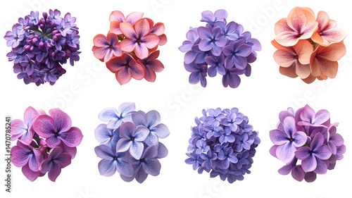 Floral assortment showcasing diverse petal arrangements, vibrant hues, botanical exquisiteness