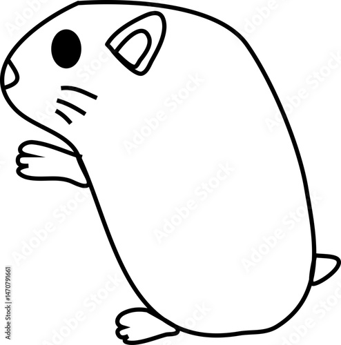 cute hamster