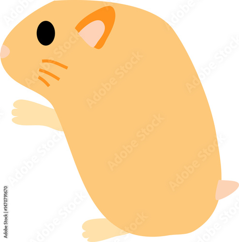 cute hamster