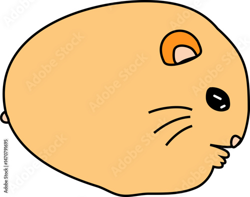 cute hamster