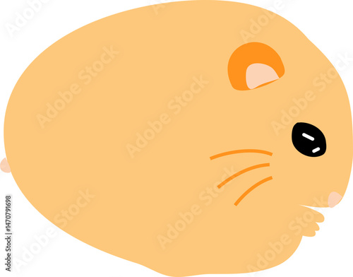 cute hamster