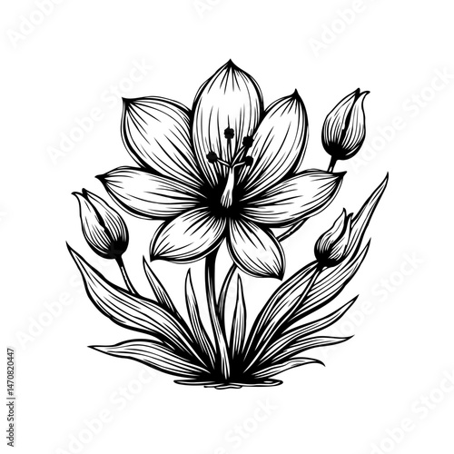 Floral line art: Elegant depiction of a blooming flower with detailed petals