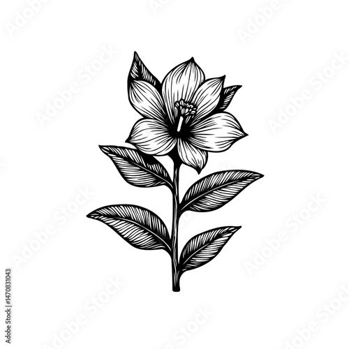 Intricate Hand-Drawn Floral Illustration Displaying Botanical Elegance and Detail