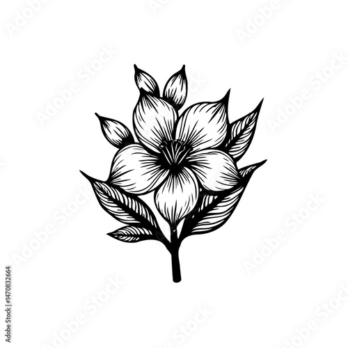 Elegant botanical illustration: a stylized floral design with refined linework