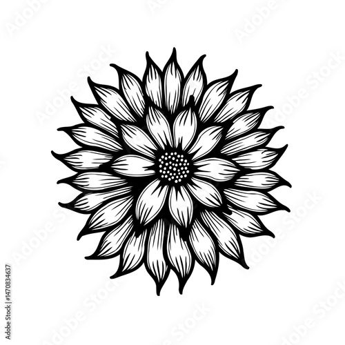 Elegant floral bloom illustration featuring delicately drawn petals and intricate details