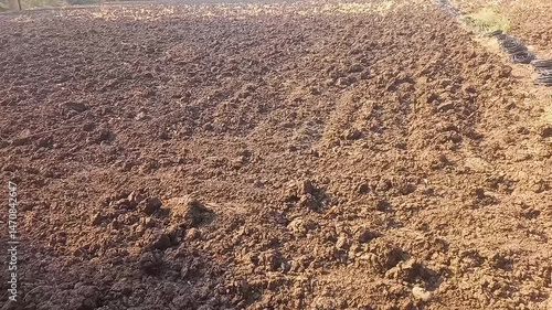 Ploughed field, ready for planting, showing rich brown soil texture under sunlight.