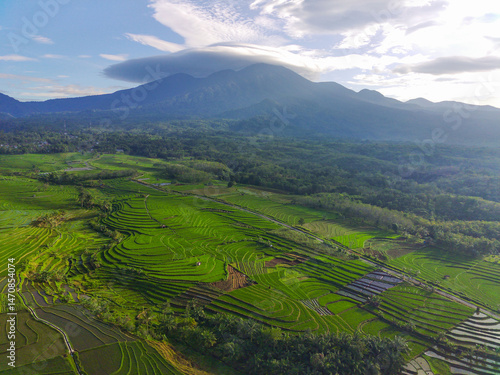 Wallpaper Mural Beautiful morning view indonesia Panorama Landscape paddy fields with beauty color and sky natural light Torontodigital.ca
