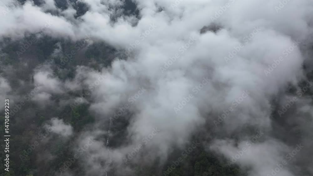 Overlooking misty forest and winding river Overlooking misty forest and winding river