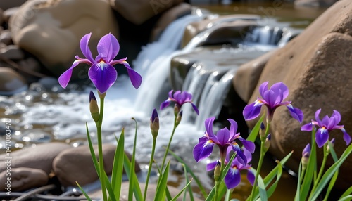 a tranquil riverside scene with vibrant purple flowers blooming in front of a waterfall.