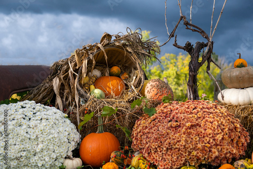 autumn harvest of pumpkins