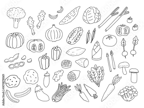 線画の野菜のイラストセット