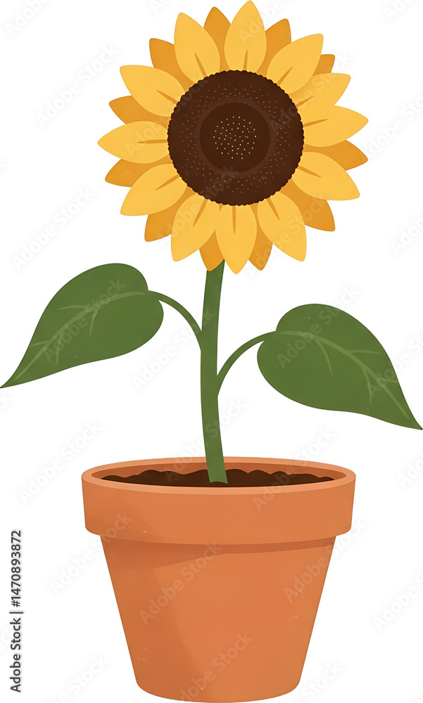 Obraz premium 해바라기 : Sunflower