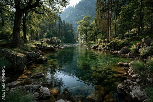 Tranquil Forest Stream with Crystal Clear Water and Lush Greenery Ideal for Nature and Relaxat