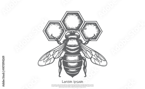 Engraved Bee with Honeycombs on Top and White Background