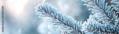 Obraz na płótnie Shivering Cold in a Snow-Covered Winter Landscape, Frosted evergreen branch against a soft, blurred background. w salonie