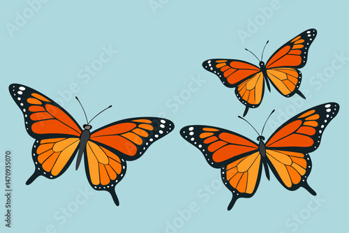 butterfly isolated on white