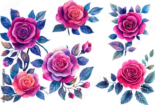Beautiful Watercolor Pink Rose Flower