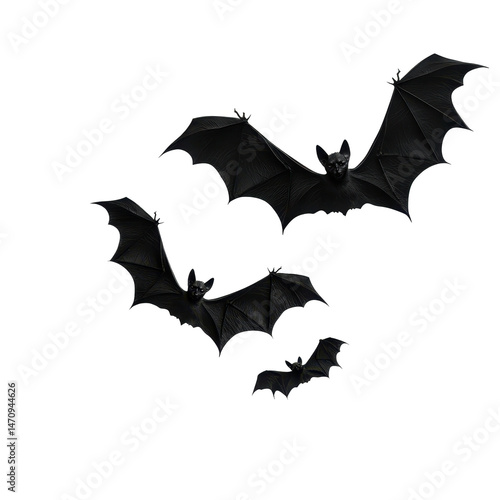 A lively trio of bats soaring through the night sky, showcasing their majestic wings. transparent background