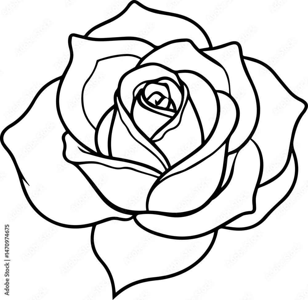 Rose outline vector illustration, line art Rose outline vector illustration, line art