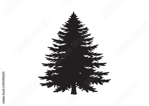 Evergreen Tree Silhouette Vector