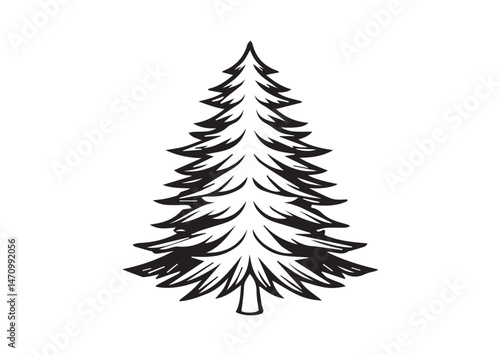 Evergreen Tree Silhouette Vector