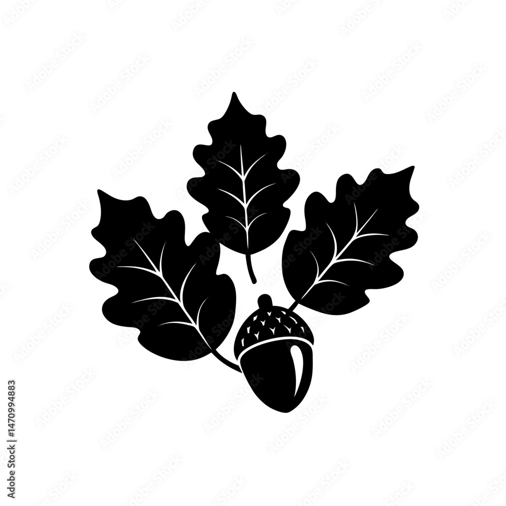 Obraz premium acorns and oak leaves silhouette on white 