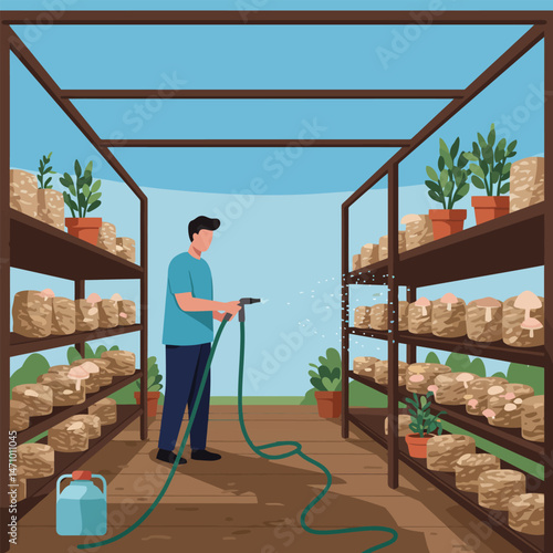 Man Watering Indoor Mushroom Farm with Hose on Wooden Shelves